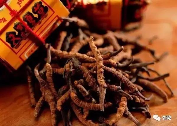 藏西旅游攻略,西藏旅游购物避坑指南