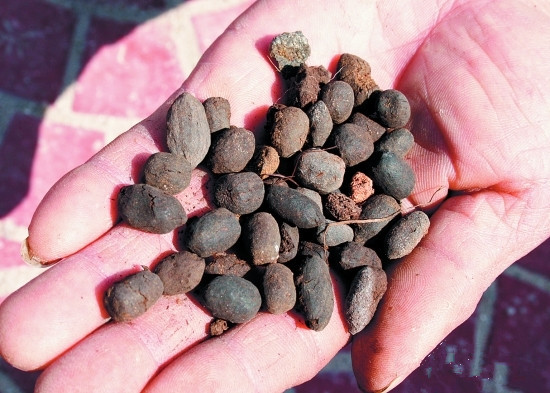 手上扎了木刺出了一点点血,手上扎了个刺变黑了