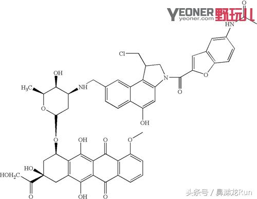 梯度压缩,compressport越野压缩裤评测