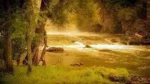 鑽夌鎬庝箞鑷繁鍥炶,鑽夌鎬庢牱鍙互鍥炶