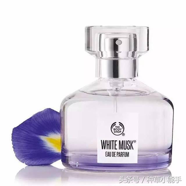 这5款堪比大牌的平价香水，用过的姑娘都有男盆友了