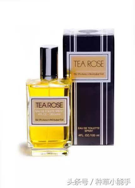 这5款堪比大牌的平价香水，用过的姑娘都有男盆友了