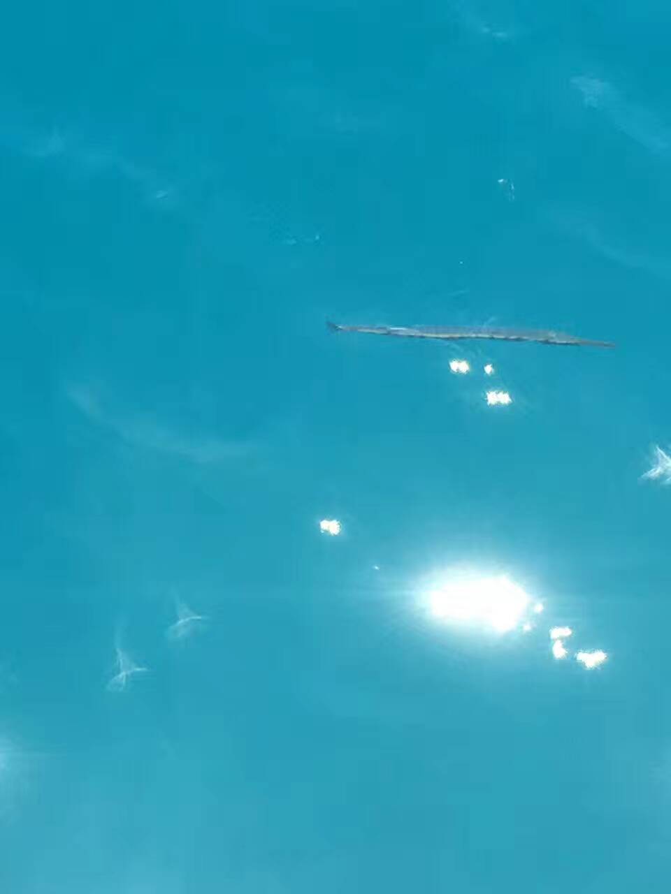 第二次来到越南芽庄,第一次出国越南感受