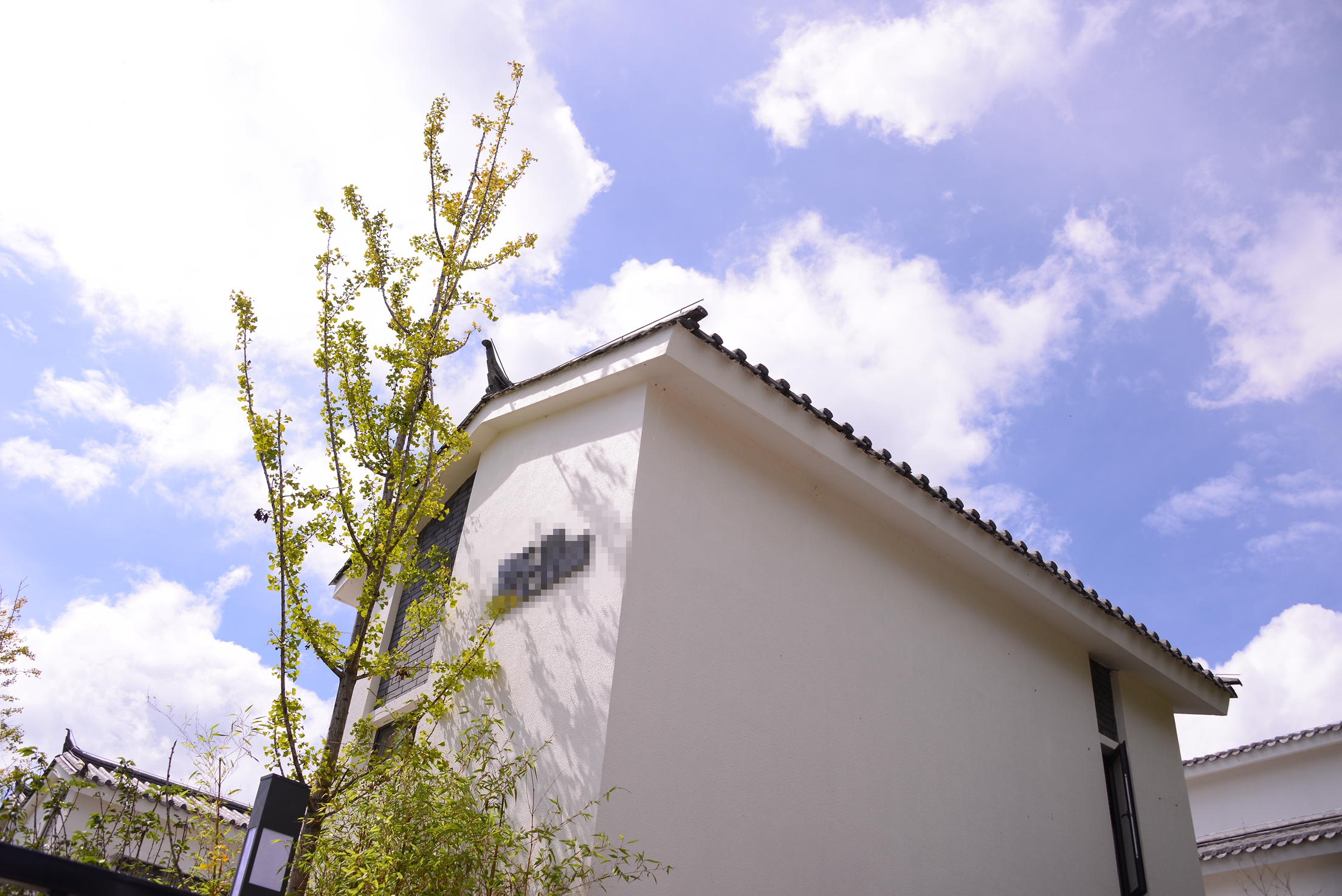 大理旅居租房子,大理古城租房旅游