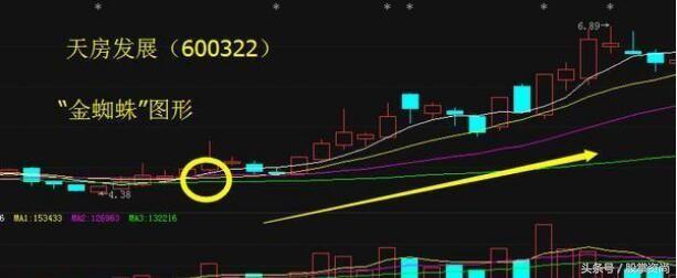 均线金蜘蛛炒股技巧,均线金蜘蛛战法