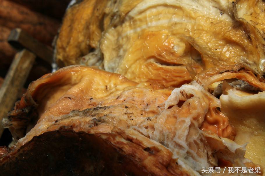 新疆太岁跟东北太岁有什么区别,中国人常说的太岁到底是什么