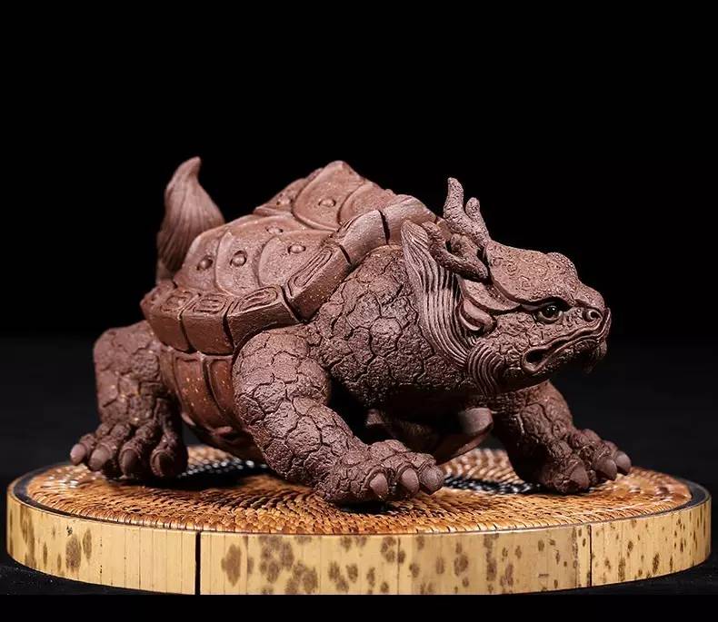 养茶宠有什么危害,你真的会养兰花吗