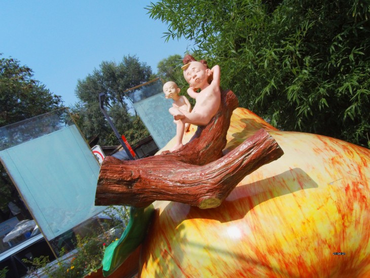 小米高清运动相机推荐,小米最新款数码相机