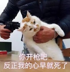 代运营到底有多可怕,代练行业黑幕揭秘