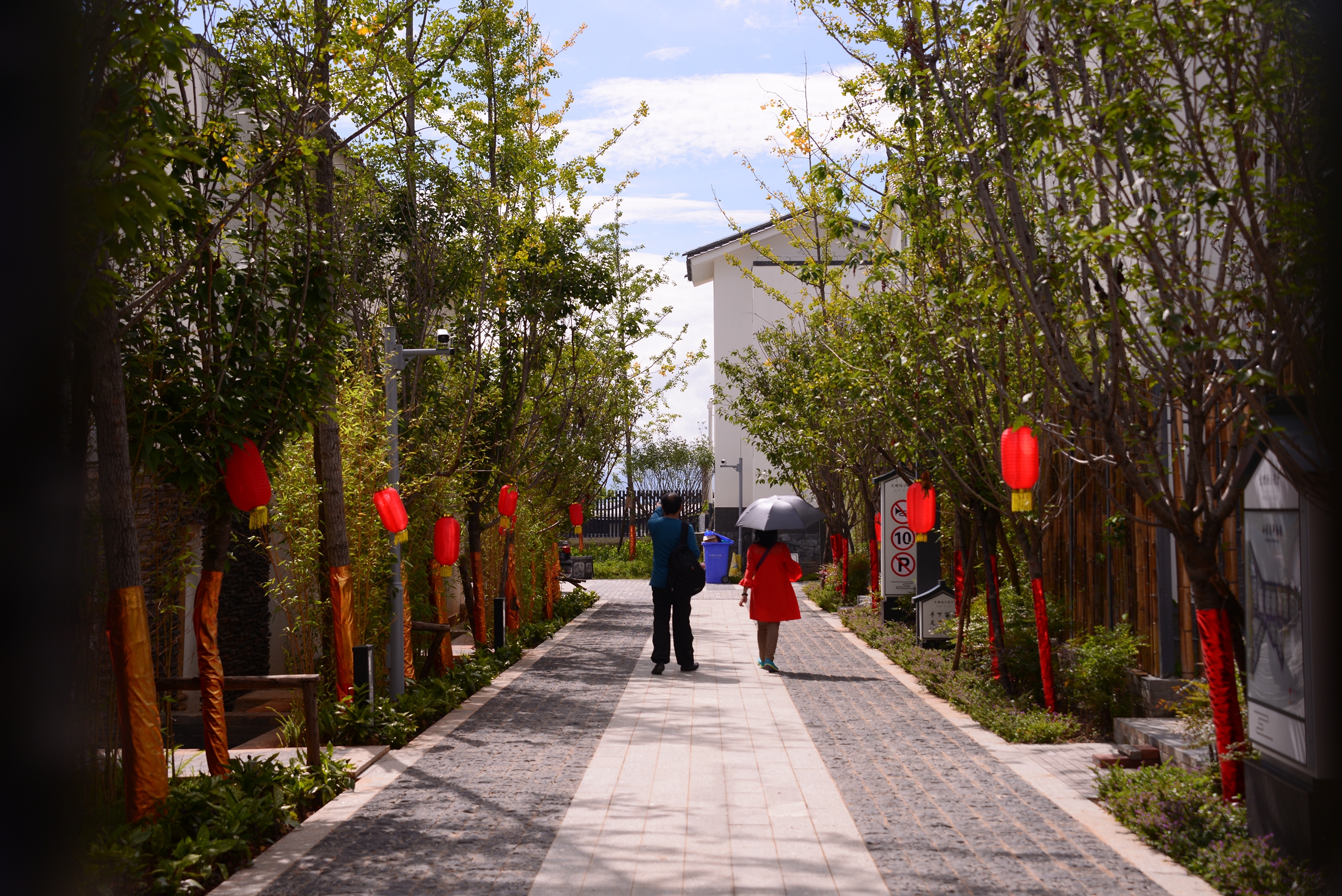 大理旅居租房子,大理古城租房旅游