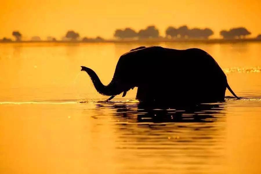 中餐厅节目里的美食,中餐厅第四期同款美食