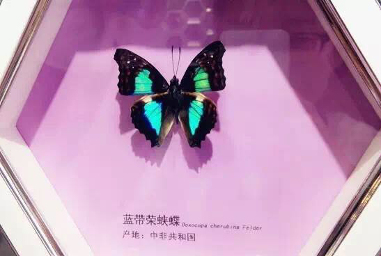 山西司徒小镇,司徒小镇又见老山西完整视频