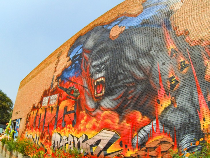 小米高清运动相机推荐,小米最新款数码相机