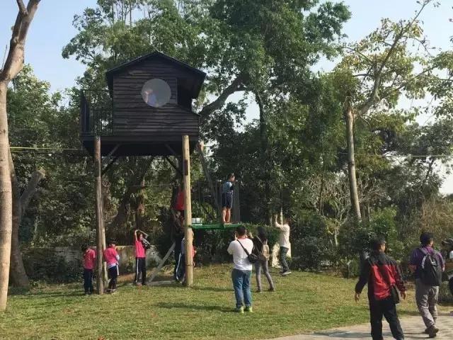 你的学校有操场吗,你还记得你的学校吗