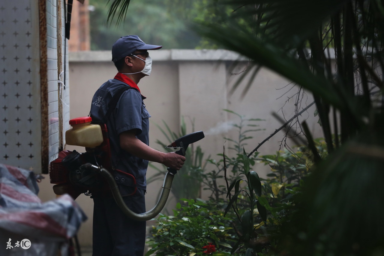 登革热引发恐慌,请收好这份登革热科普知识