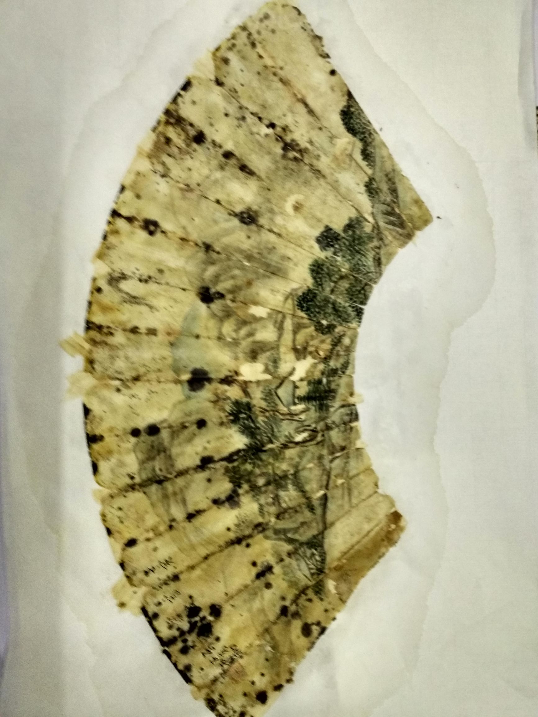 瀛楃敾鍙戦湁娓呮礂姝ラ瑙嗛,瀛楃敾鍘绘薄鍘婚湁淇