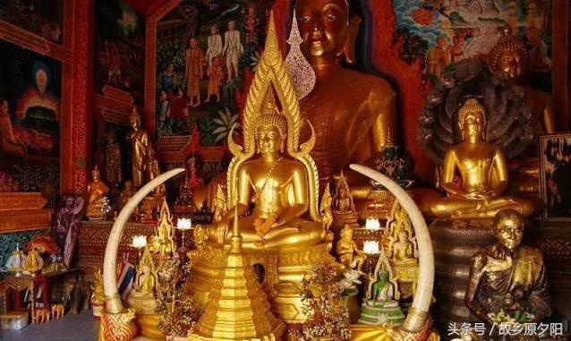 回味在成都,回味一首邓丽君的歌曲