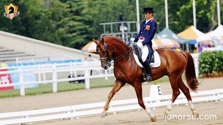 全运会马术盛装舞步个人决赛赛况,14届全运会盛装舞步