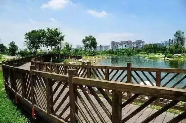 成都赏红叶的公园,成都赏秋色最好的地方