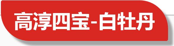 专业角度看凤丹各器官特点，带你全面科学认识高淳四宝-白牡丹