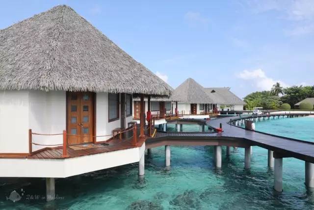 马尔代夫真的值得去吗,去马尔代夫的真实感受