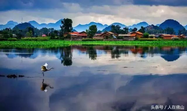 佛山西站出发动车直达！九月的普者黑，美成一幅脱俗的3D田园画~