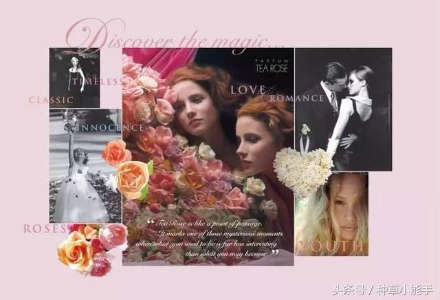 这5款堪比大牌的平价香水，用过的姑娘都有男盆友了