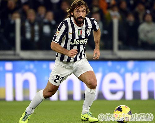 树挪死人挪活换条赛道,树挪死人挪活改变版