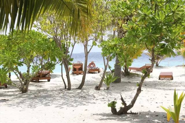 马尔代夫真的值得去吗,去马尔代夫的真实感受