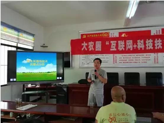 如何种植吊袋式木耳教程,吊袋黑木耳种植技术