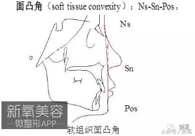 杨紫瘦了腿显得不纤细,杨紫变美之路脸怎么瘦的