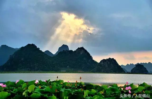 佛山西站出发动车直达！九月的普者黑，美成一幅脱俗的3D田园画~