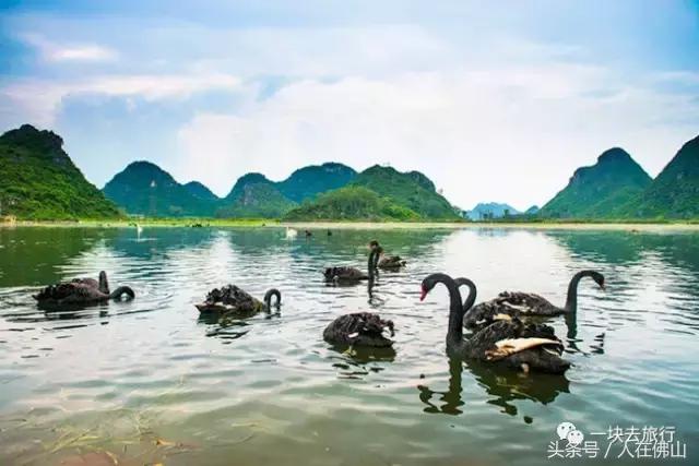 佛山西站出发动车直达！九月的普者黑，美成一幅脱俗的3D田园画~