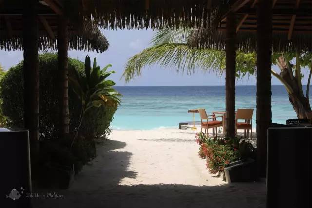 马尔代夫真的值得去吗,去马尔代夫的真实感受