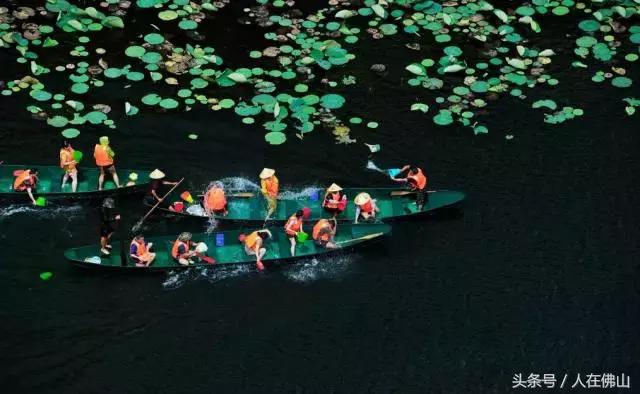 佛山西站出发动车直达！九月的普者黑，美成一幅脱俗的3D田园画~