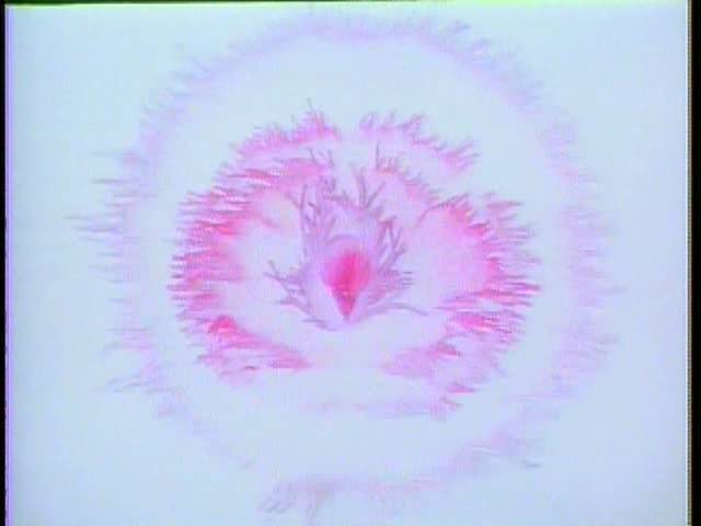 盘点十部经典动画成年了才能看懂