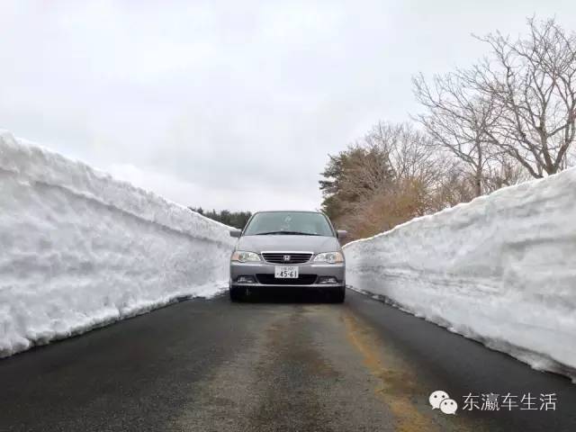 本来只是出去买个菜，结果变成了5天4晚的说走就走的日本东北旅行（栃木・福島・山形・秋田・新潟）