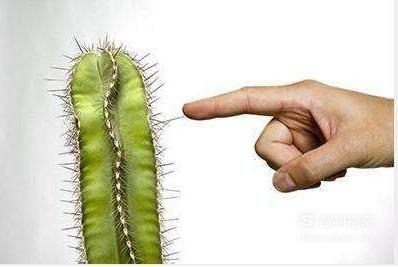 手上扎了木刺出了一点点血,手上扎了个刺变黑了