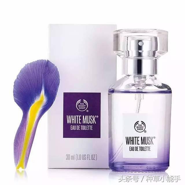 这5款堪比大牌的平价香水，用过的姑娘都有男盆友了