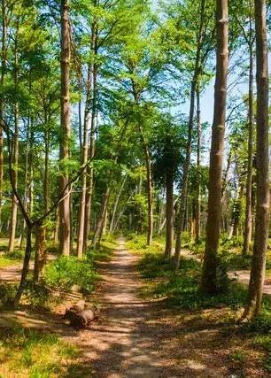 你的学校有操场吗,你还记得你的学校吗