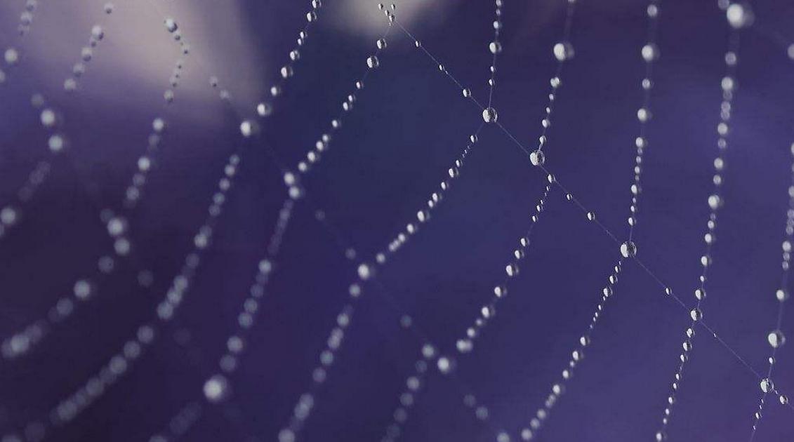 鎴戠殑灏忓簵缇庢枃,缇庢枃閴磋祻鎴戠殑蹇冪埍涔嬬墿