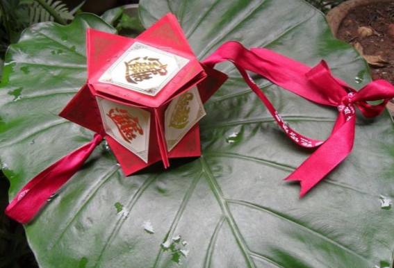 手工制作元宵节灯笼diy教程,自制元宵灯笼教程简单又好看