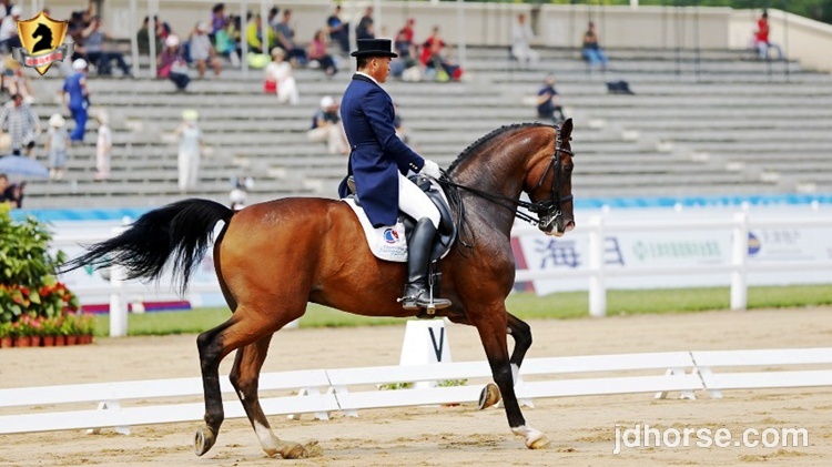 全运会马术盛装舞步个人决赛赛况,14届全运会盛装舞步