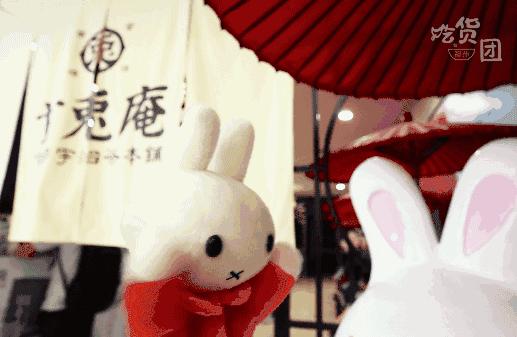 开在樱花树里的抹茶店，被这只兔子绿了也心甘情愿！