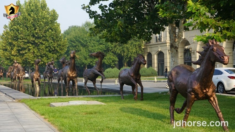 全运会马术盛装舞步个人决赛赛况,14届全运会盛装舞步