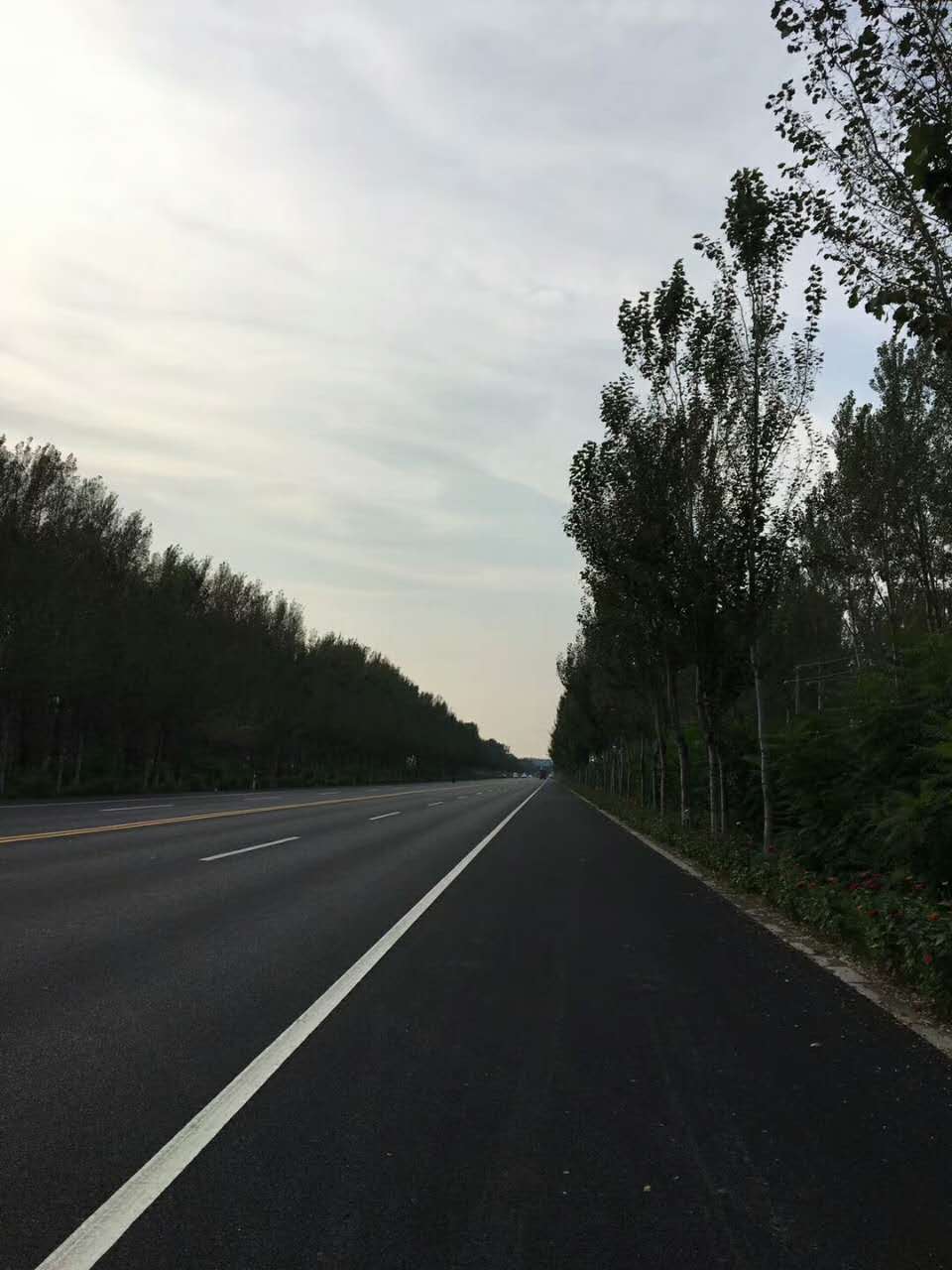 本溪沈阳304国道,沈阳浑南304国道