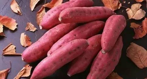 适合宝宝吃的有哪些食物,最适合孩子吃的九种食物