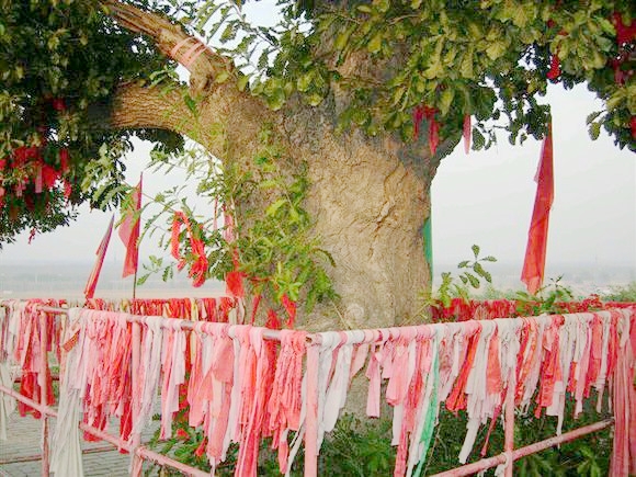 本溪沈阳304国道,沈阳浑南304国道