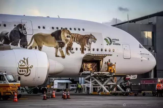 空客a380飞一次成本,空客a380飞一次能赚多少钱