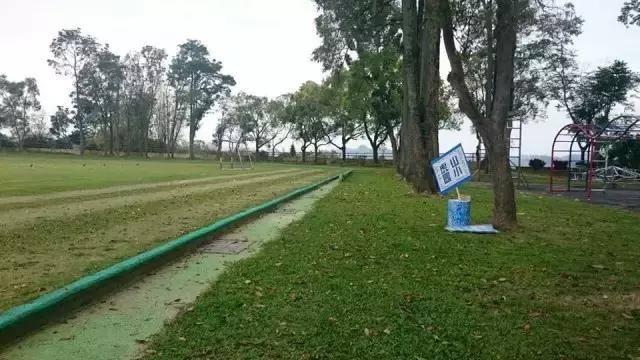 你的学校有操场吗,你还记得你的学校吗